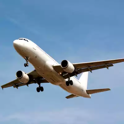 Avion