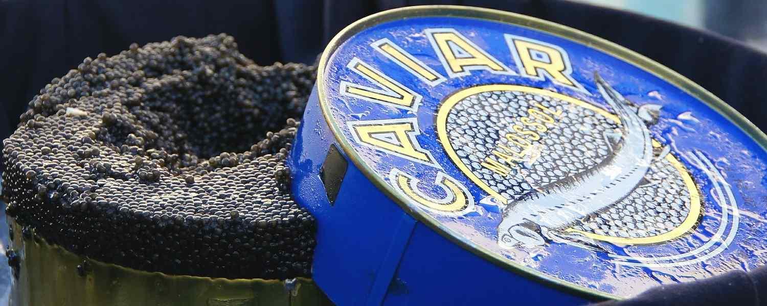 caviar