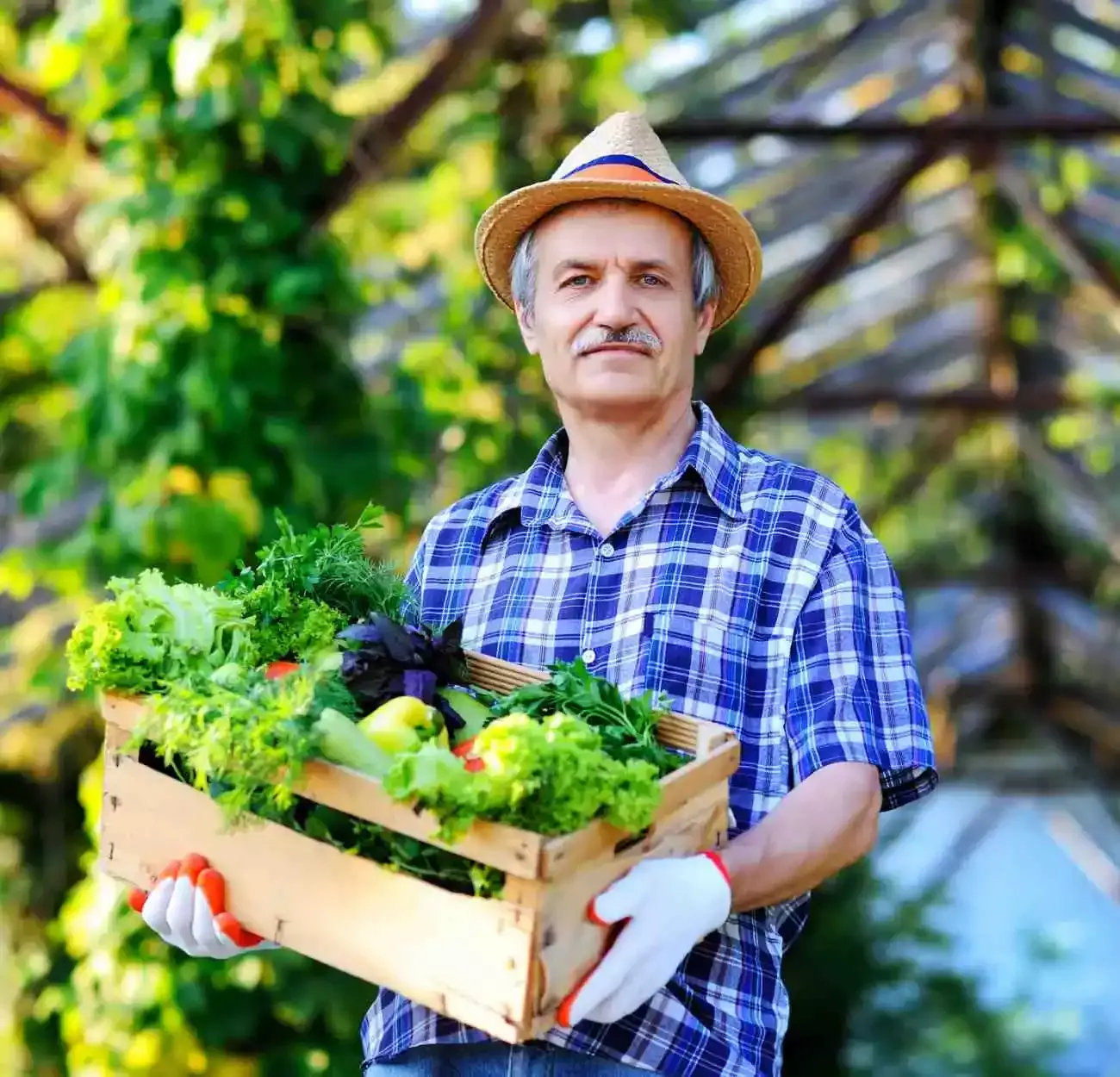 Producteur avec caisse de légumes